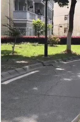 爬走代理 表情包爬走