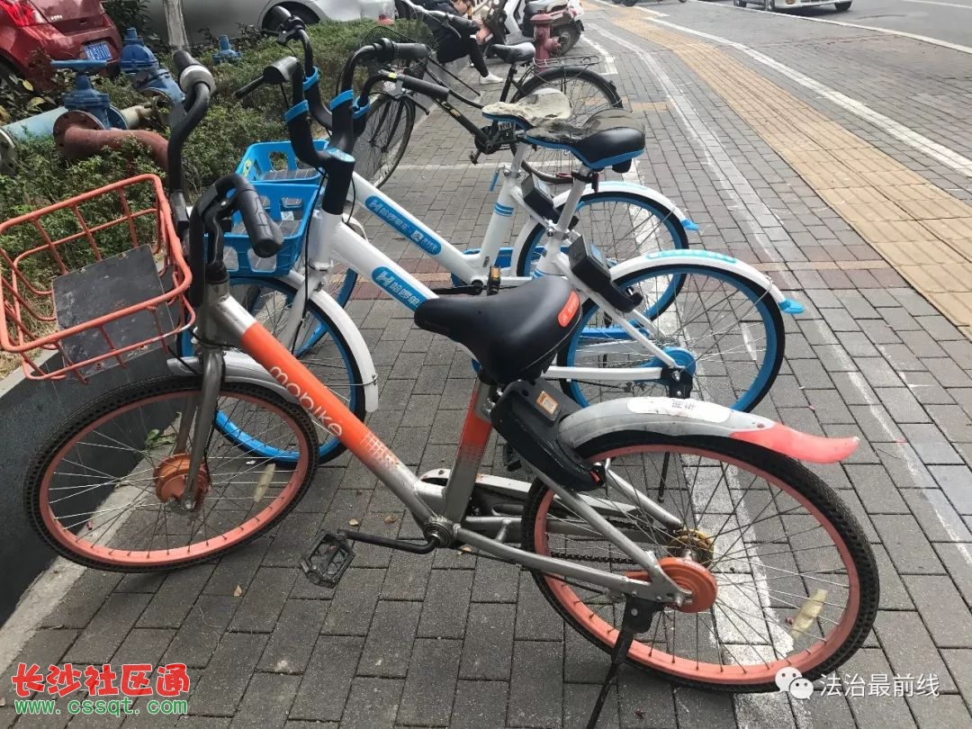 共享单车刚投放就惨遭"黑手 坐垫被割破损失两万元 究竟是谁干的?