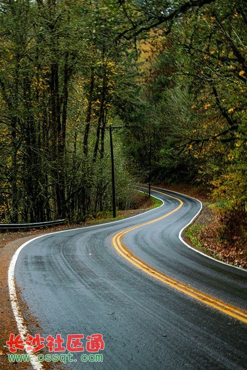 02,富动感的「s形构图」 03,增加焦点的「引导线效果」