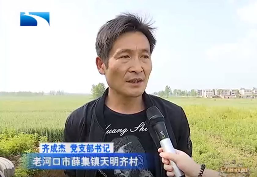 老河口市薛集镇天明齐村 村支书 齐成杰