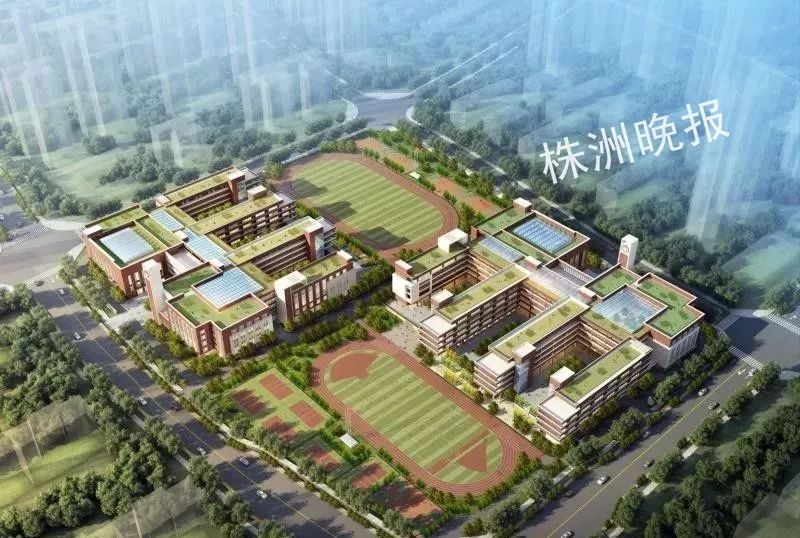 天元区白鹤菱溪小学,白鹤菱溪中学效果图