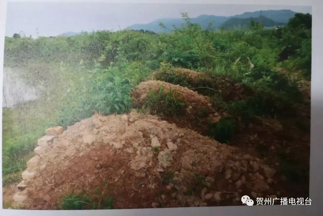 广西贺州两男子竟为这事 造了16座假坟墓