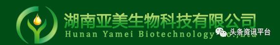 微软雅黑
