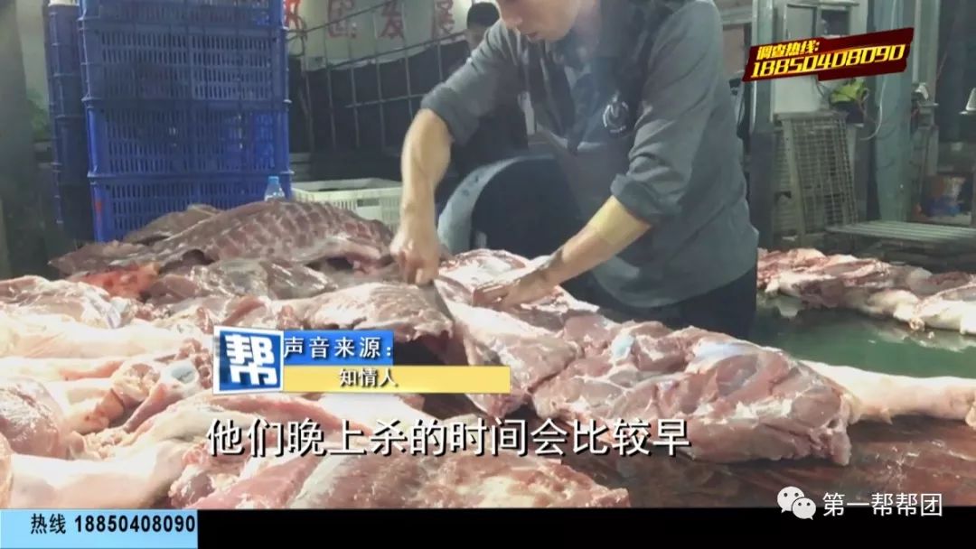 不检疫 杀"问题"猪还注水 福建漳州这家正规屠宰场过分了!