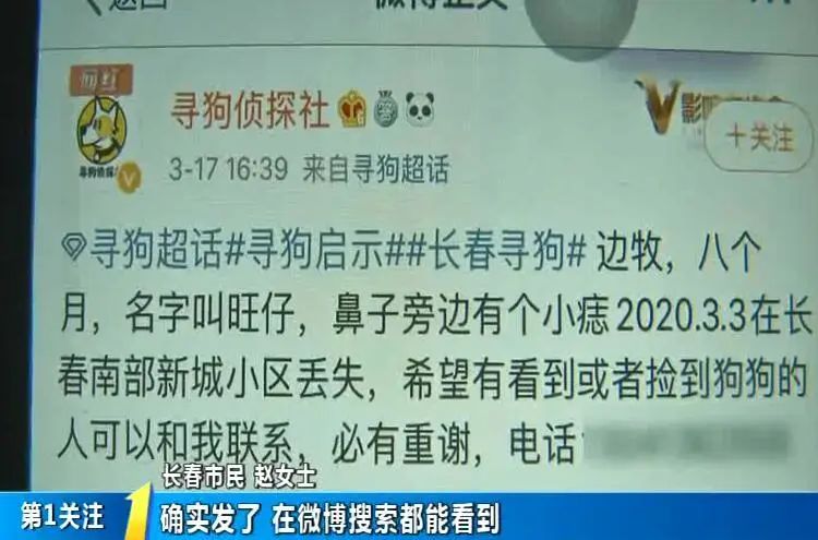 了,可把她着急坏了,更让她上火的事情是,本想着找个寻狗团队帮忙找狗