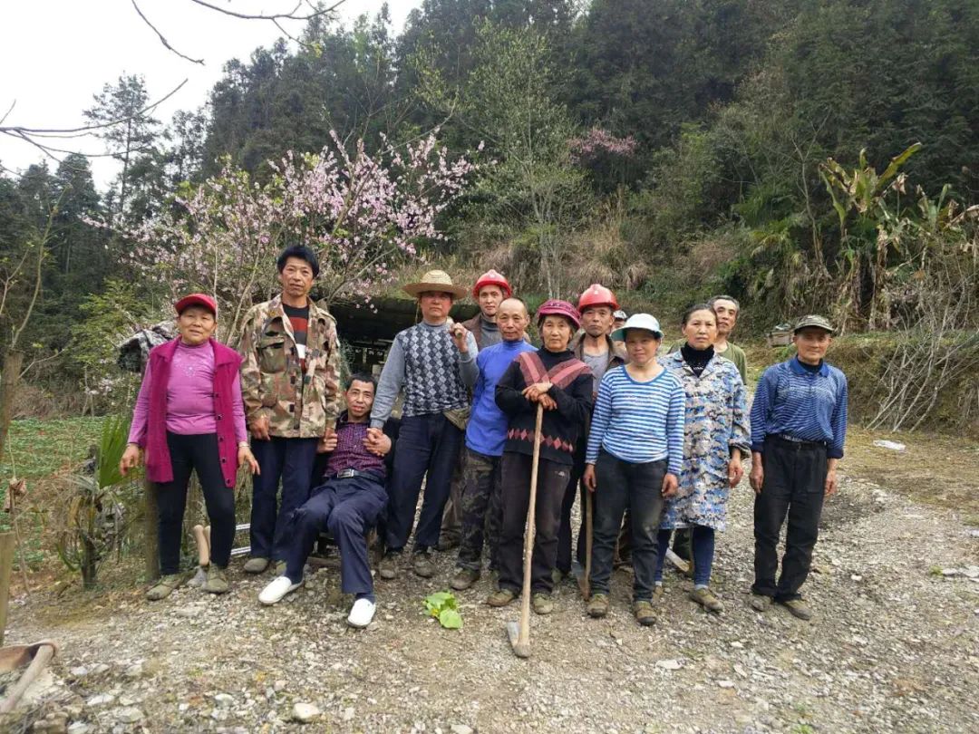 桑植拐杖大哥直播蜜蜂采蜜后合照