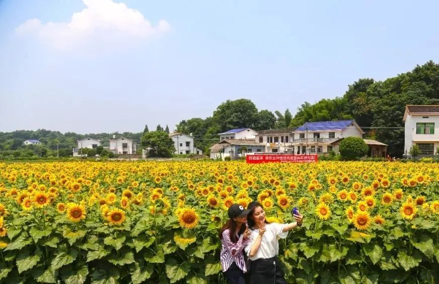 如今已经被当地建设成了纪念馆 离此不远的群力村周炳文故居 也被修缮