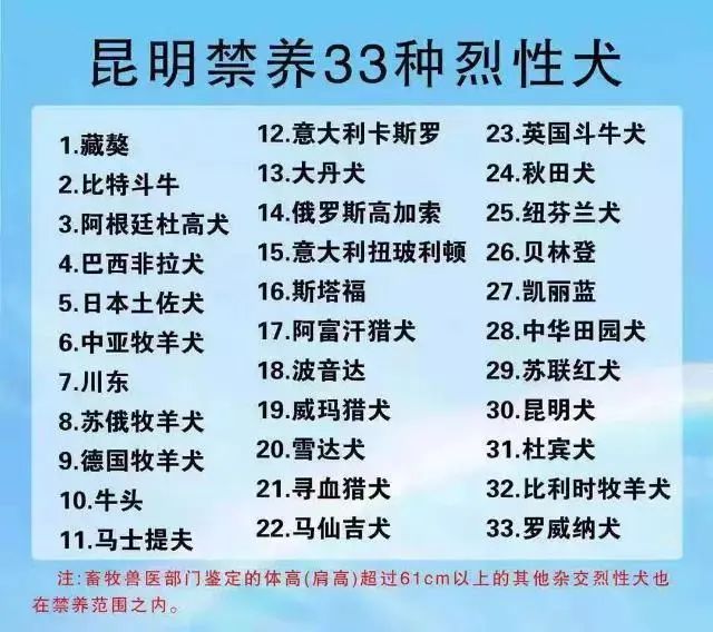 烈性犬咬伤柯基 主人"躺枪" 多家商户在售禁养烈性犬