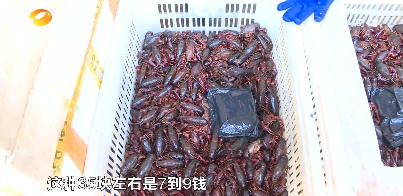 长沙每天吃掉小龙虾60万斤嘬虾到底有多猛